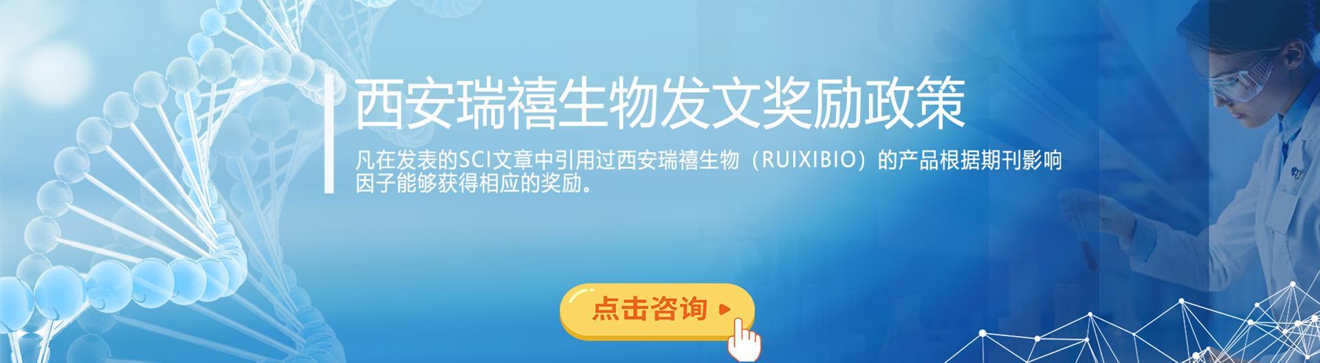 發(fā)文章獲獎(jiǎng)勵(lì)政策