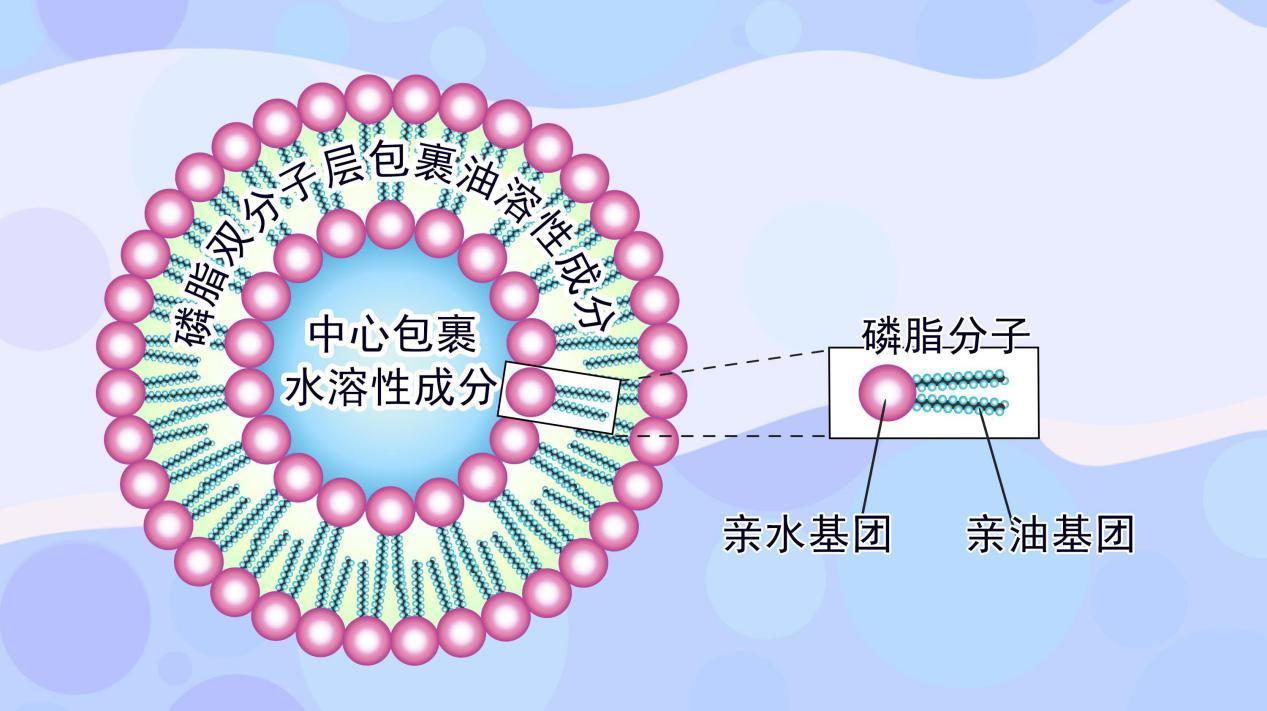 納米制劑定制