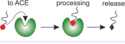 Ir(pbi)2(acac)，乙酰丙酮酸二(1,2-二苯基苯并咪唑-C2,N)合銥(III)  Bis(1,2-diphenyl-1H-benzimidazol-C2,N)(acetylacetonate)iridium(III)