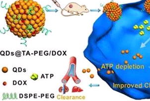PLGA-TK-PEG-NH2, 氨基-聚乙二醇-酮硫醇-聚（D，L-丙交酯-co-乙交酯）