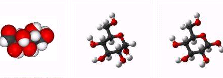 （蛋白質(zhì)、糖類、核酸）生物分子修飾的介孔二氧化硅納米粒子 定制合成