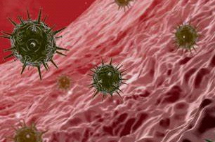 PEG化脂質(zhì)體（PEGylated liposomes）定制合成