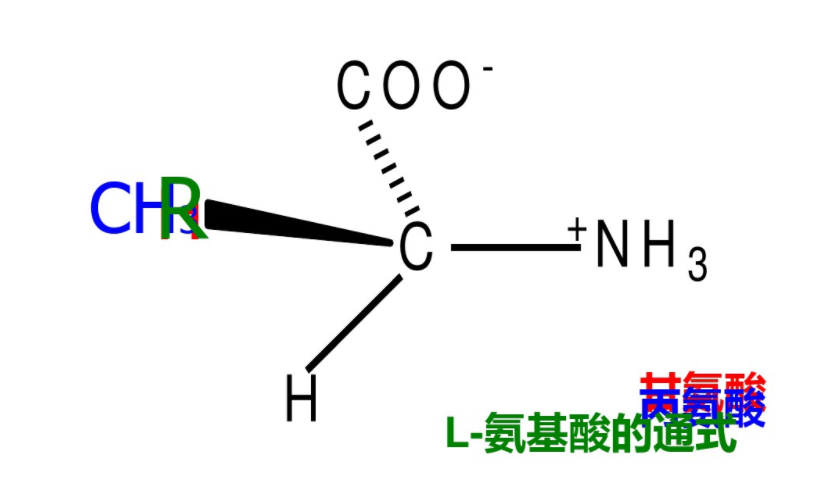 QQ截圖20200811101720.png
