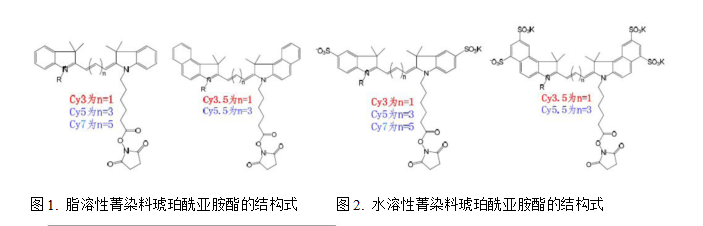 Cy3,Cy5和Cy7菁染料的激發波長光譜圖