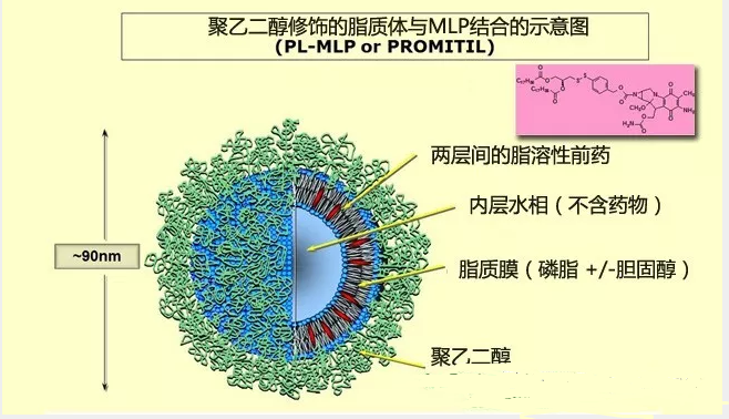 QQ截圖20200927101652.png