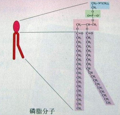 QQ截圖20201030095228.png