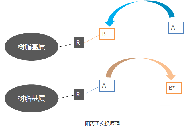 分離純化單克隆抗體