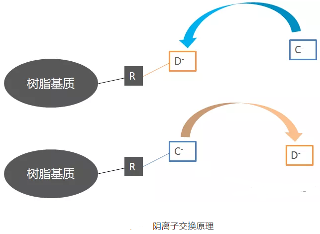 分離純化單克隆抗體