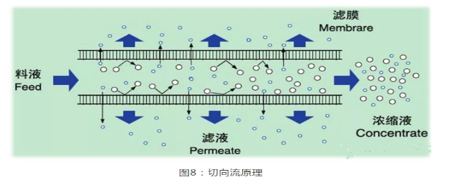 分離純化單克隆抗體
