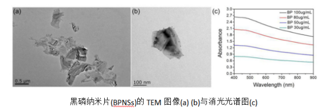黑磷納米片(BP NSs)