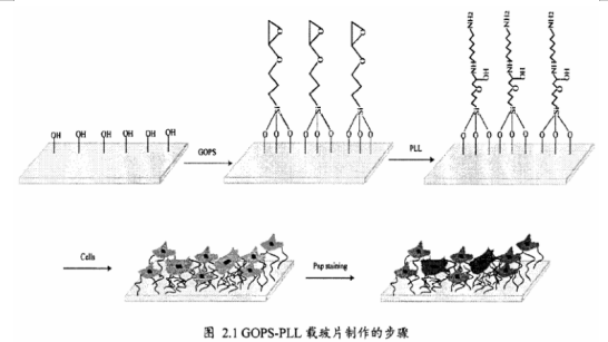 QQ截圖20211124123725.png