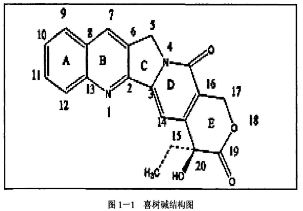 喜樹堿.png