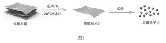 二氧化鈦/黑磷量子點復合材料(TiO2/BPQDs).png