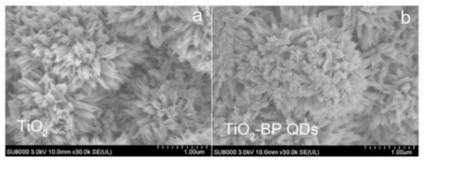 二氧化鈦/黑磷量子點復合材料(TiO2/BPQDs).png