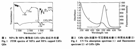 3-巰基丙酸修飾碲化鎘量子點(MPA-CdTeQDs).png