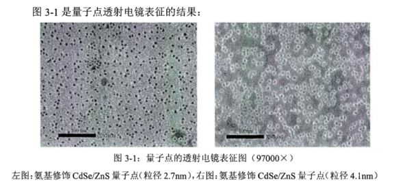 氨基修飾水溶性CdSe/ZnS量子點.png