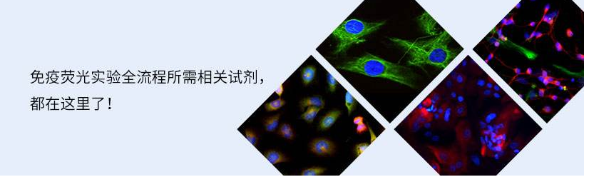 熒光標記原理.png
