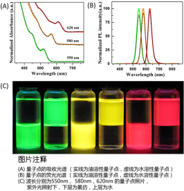 水溶性硒化鎘修飾硫化鋅CdSe/ZnS量子點(diǎn).png