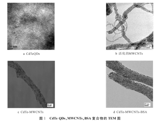 多壁碳納米管上原位生長CdTe量子點.png
