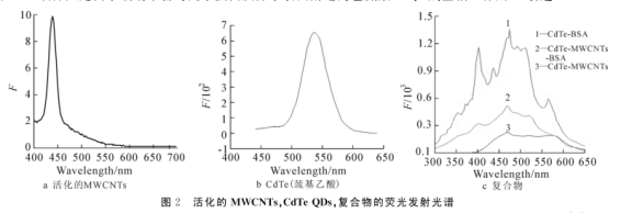 多壁碳納米管上原位生長CdTe量子點.png