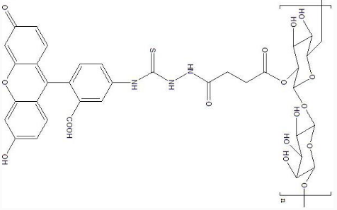 FITC-Dextran|熒光標記葡聚糖(葡聚糖分子量可選).png