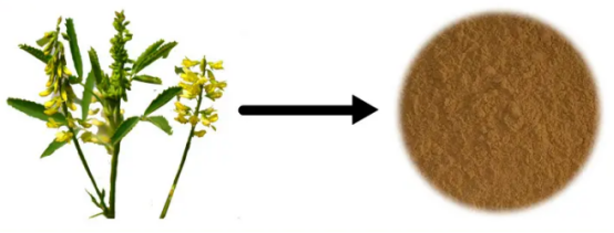 香豆素物理性質：.png