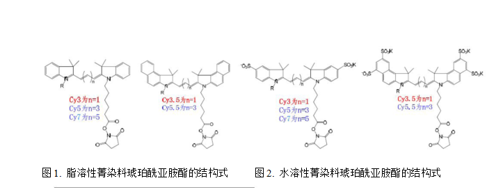Cy3,Cy5和Cy7菁染料的激發波長光譜圖