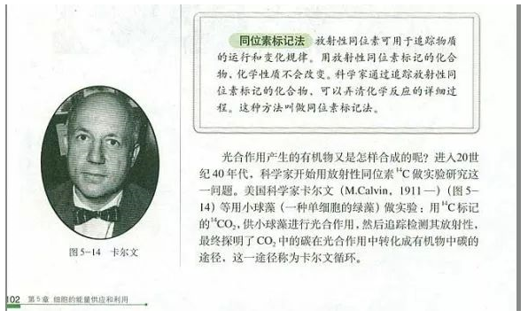 同位素標記法與熒光標記法的區別有哪些？