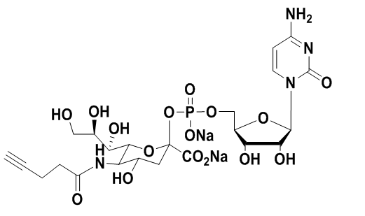 CMP-C9-Azido-Sialic Acid，5'-單磷酸胞苷修飾疊氮糖