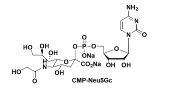 CMP-C9-Azido-Sialic Acid，5'-單磷酸胞苷修飾疊氮糖