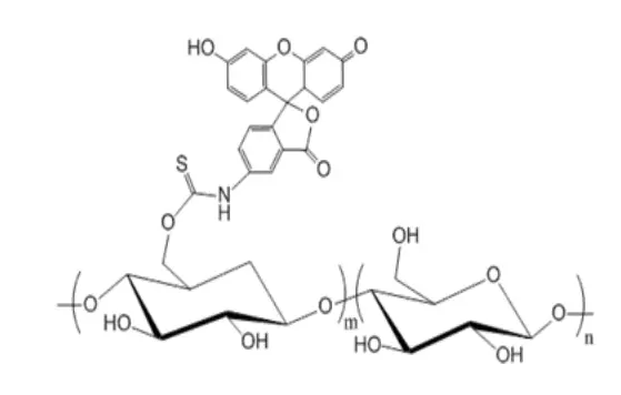 FITC-Dextran/FITC-葡聚糖(綠色熒光)