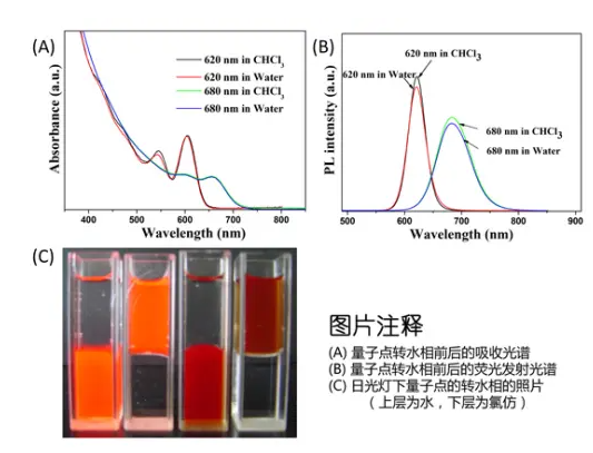 quantum dot;水溶性CdTe/CdSe/ZnS量子點;紅色熒光油溶性CdTe/CdSe/ZnS量子點的合成