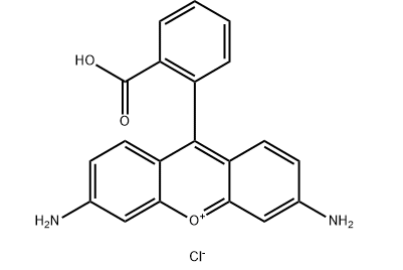 羅丹明標記肽