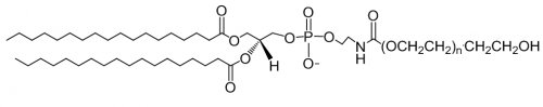 DSPE-PEG-OH,MW:2000/磷脂-聚乙二醇-羥基/分子量：1k，2k，3.4k，5k，10k，20k（可按需定制）