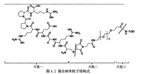 Mal-PEG-NHS偶聯碳量子點