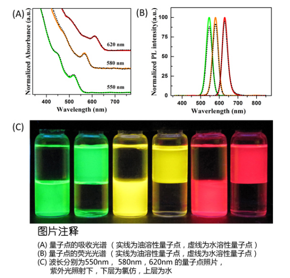 CdSe/ZnS量子點