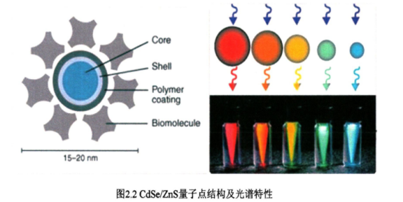 CdSe/ZnS近紅外二區(qū)量子點(diǎn)