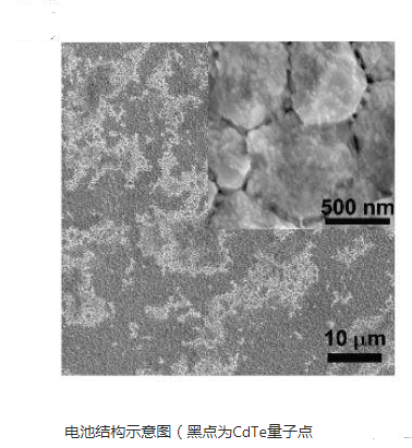 碲化鎘量子點偶聯喜樹堿