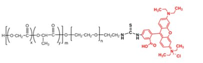 PLGA-PEG-RB/PLGA-b-PEG-RhB/ 聚乳酸-羥基乙酸共聚物（MW:10000,5000）
