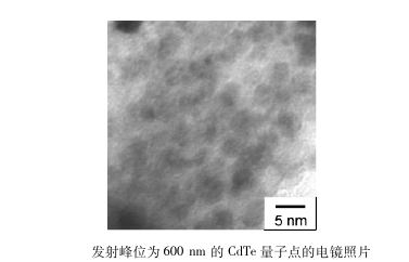 CdTe量子點標記雌二醇衍生物