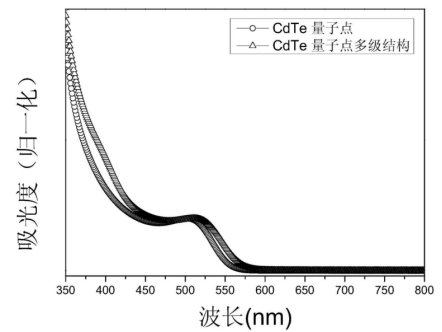 CLV3十二肽修飾CdTe量子點(diǎn)