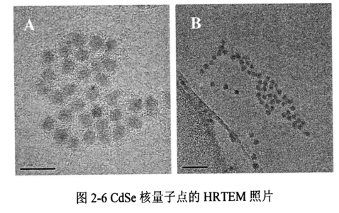 抗菌肽-CdSe量子點(diǎn)