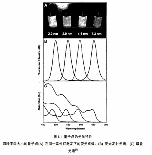 RGD肽修飾近紅外水溶性CdTe量子點