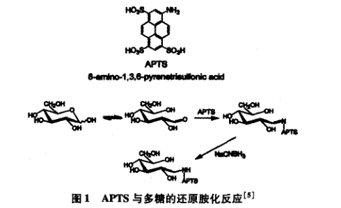 熒光標(biāo)記單糖和寡糖
