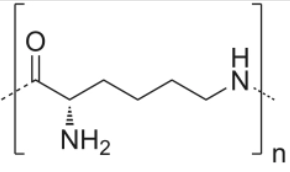 聚賴(lài)氨酸