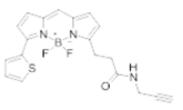 熒光染料BDP 558/568 alkyne，炔基修飾的熒光染料激發(fā)波長是多少？