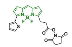 熒光染料BDP 558/568 NHS ester，CAS:150173-73-2保存條件及保存時間介紹