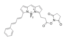熒光染料BDP 581/591 NHS ester/NHS活化酯的溶解性如何？