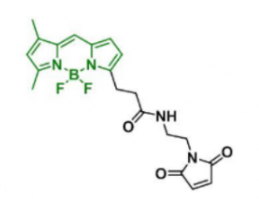 熒光染料BDP FL Maleimide  CAS:773859-49-7是什么顏色的？