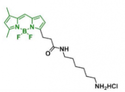 熒光染料BDP FL NH2/amine氨基，CAS:2183473-03-0的物化性質及結構式